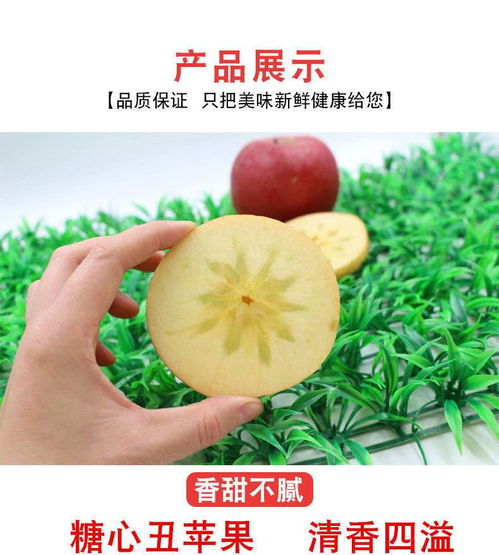 大涼山鹽源丑蘋(píng)果 自然孕育的冰糖心，脆甜多汁的應(yīng)季佳品
